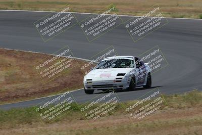 media/May-04-2024-Lucky Dog Racing (Sat) [[d39539b3f3]]/Race Pics/1015am (Turn 2)/